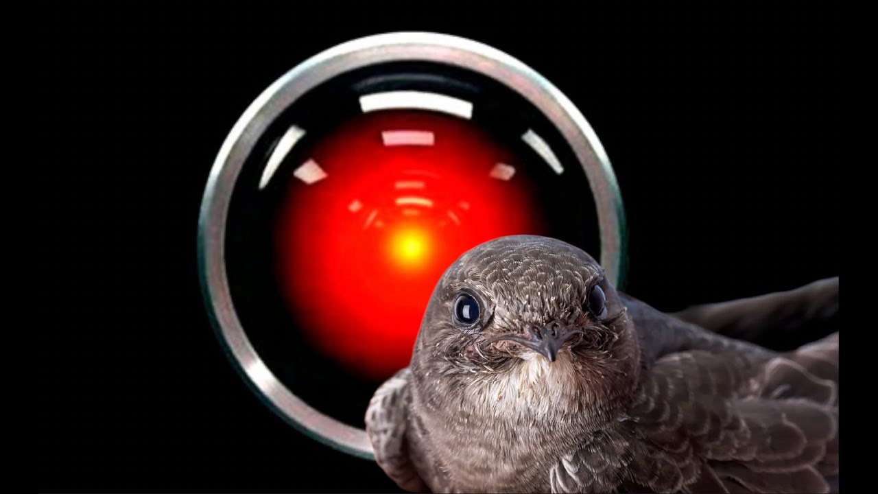 Martinet et intelligence artificielle.