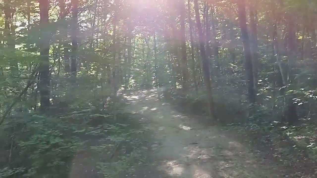 Sur L’aveuglement.